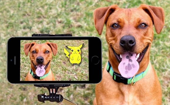Why Do You Need a Dog Camera - Fair Review - Post Thumbnail